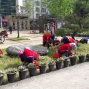 조촌동주민센터 이미지