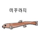 오늘은추어탕 네이버블로그