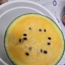 장보고과일 | 여름과일 추천 | 장보고식자재마트 블랙망고수박 맛있게 먹은 후기