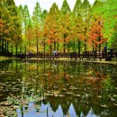 (테마투어)생태투어 이미지