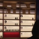 콘서트 | 2026 화사 콘서트 후기