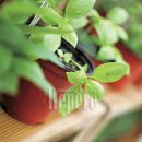 우아농장 이미지