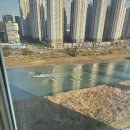고바우왕족발 | 두쫀쿠에 눈 뜨다