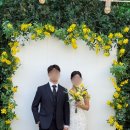 #18. [더청담 스튜디오] 야외 노란 꽃 배경 촬영 후기