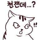 에코클린시스템