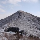 동양교통 이미지