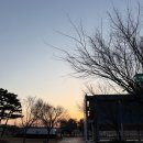 해돋이 | 안산 일출 보기 좋은 곳 '화랑유원지' 나홀로 해돋이 후기