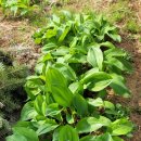 월현농장 이미지