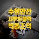수원 안산 담장 시멘트블럭 벽돌 부분 조적 쌓기 타일 떠붙임 떠발이 교육장 만들기