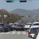 마장공원(산곡남중 옆) | 과천 렛츠런파크의 2026년 벚꽃축제 馬(마)시멜로 다녀온 후기 ㅣ 실시간 주차, 무료 입장권 링크