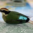 거제시청 이미지