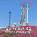 만남의광장꽃