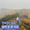 본루트 - 서산시 안견로 230 | 알펜루트 2일차 무로도 후기｜설벽 못 본 이유와 날씨 정리(下)