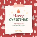 연푸른초 이미지