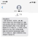 청춘판다