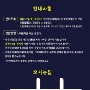 꽃피는청춘