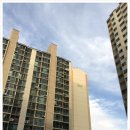 아람비디오 이미지