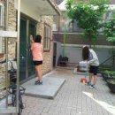 정목 경로당 Daum카페