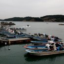 오렌지 수산 이미지