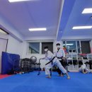 540태권도장 이미지