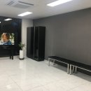 대한렌트카 이미지