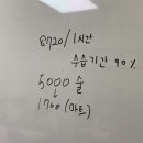 싸다공 이미지