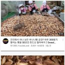 바나나공장 이미지