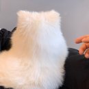 옥길유치원2 | 나의 연말은 💘