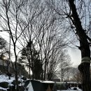 이종무로128번길 이미지