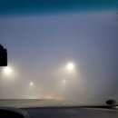 중대졸음쉼터 | 211121 군대간 빡빡이 동생놈 면회갔다온 후기🙄