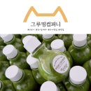 하이캣 이미지