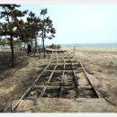 망상컨벤션센터 이미지