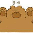 이마와루 이미지