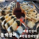 [용인 장어 맛집] 부모님 모시고 가기 좋은 숯불민물장어구이 맛집 : 동백장어 내돈내산 후기