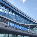 이번생은 댕댕이 | 늦은 후기 / 댕댕이 천국! 2025 부산펫쇼