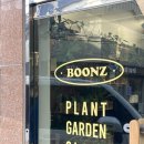 군자역 식물 플랜트샵 :: 분즈 (BOONZ) 방문 후기