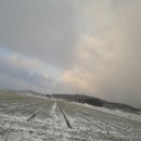 신지농장 이미지