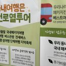 광양매화마을 당일투어 방문예약후기 (feat.인천로열투어)