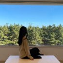 모레브A 이미지