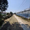 서홍동-7 이미지