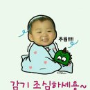 호방 Daum카페