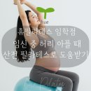 필라테스HUE | [계양구산전필라테스 / 휴필라테스 임학점] 임신 중 허리 아플 때 산전 필라테스로 도움 받기!