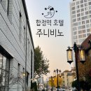 주니비노호텔 | 서울 합정동 가성비 호텔 [주니비노 호텔]