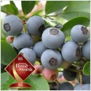 이재선농장 이미지