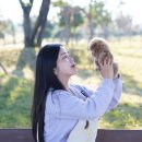 인천고양이분양 테디럽 이미지