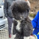 야로동물병원 이미지