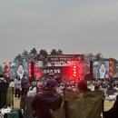 세종로지스 | 20251026 세종보헤미안뮤직페스티벌 후기 세종시민 할인 등(한로로,글랜체크,윤도현)