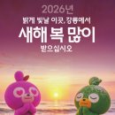 정동진 해맞이 축제 2026 일출시간 주차장 | 모래시계 회전식 12월31일