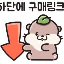 비비오토랩