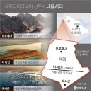 와이디솔루션 이미지